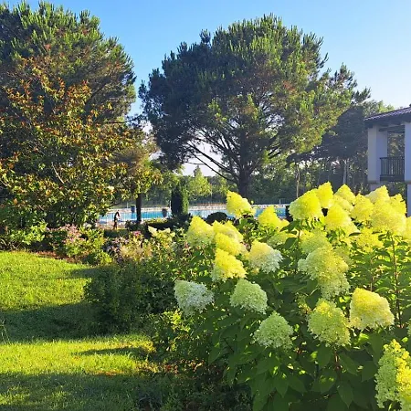 Domaine Bordaberry T2 Jardin Et Superbe Piscine *
