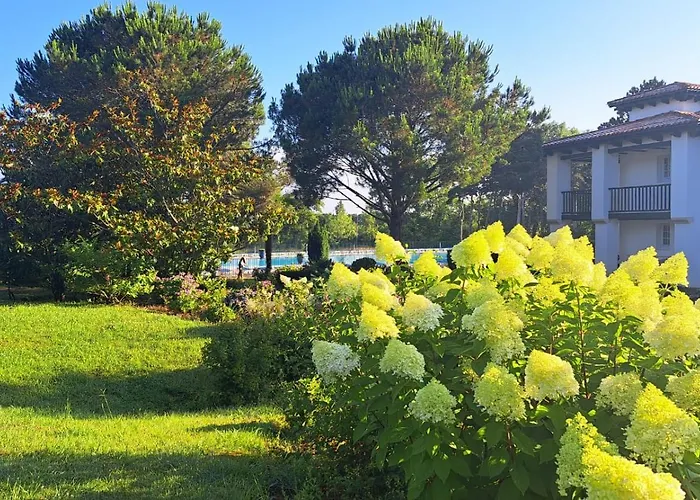 Domaine Bordaberry T2 Jardin Et Superbe Piscine *